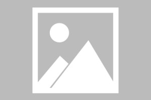PG电子-迪马济奥：沙拉维可能回归热那亚效力，已经有接触